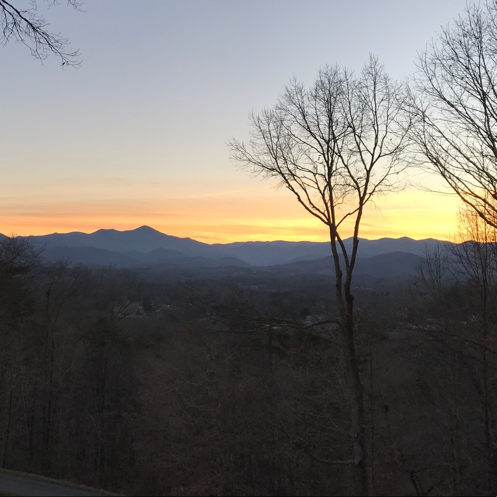 Meet your Posher, Vickie